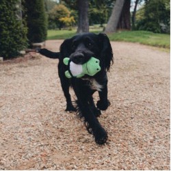 Beco Plush Toy Rough and Tough Kikker Small