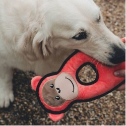 Beco Plush Toy Rough and Tough Oerang Oetan Large