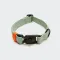 Cloud7 Dog Collar Ipanema Mint