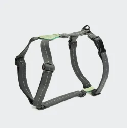 Cloud7 Dog Harness Madeira Mint