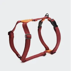 Cloud7 Dog Harness Madeira Papaya