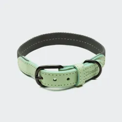 Cloud7 Dog Collar Madeira Mint
