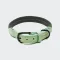 Cloud7 Dog Collar Madeira Mint