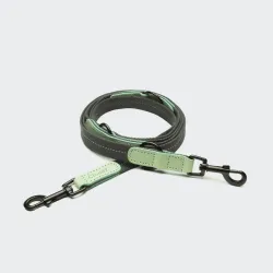 Cloud7 Dog Leash Madeira, Mint