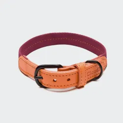 Cloud7 Dog Collar Madeira Papaya