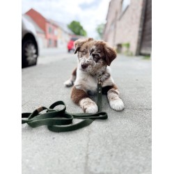 Cooper & Quint Simply Hemp Verstelbare Riem, Groen