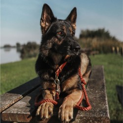 Cooper & Quint Twisted Cotton Verstelbare Riem, Rood