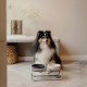 District 70 Butler Dog, Beige, Medium