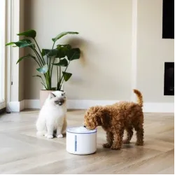 District 70 Flow 2,2l Draadloze fontein, wit