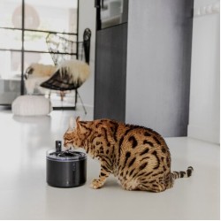 District 70 Flow 2,2l Draadloze fontein, zwart