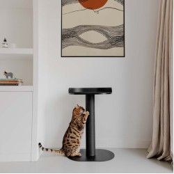 District 70 Oasis 80, zwart