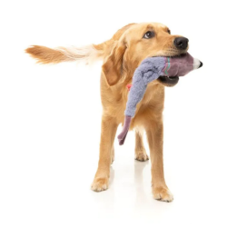 FuzzYard The Yeetz Peace Out Pigeon