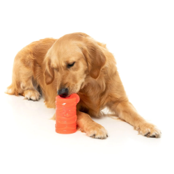 FuzzYard Interactive Toy Pina Colada Freeze