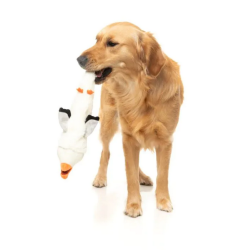 FuzzYard The Yeetz See-Ya Seagull