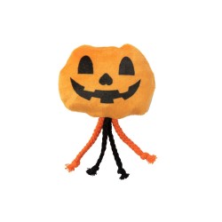 FuzzYard Halloween Cat Percy Pumpkin