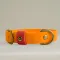 Gula Biothane Halsband Oranje