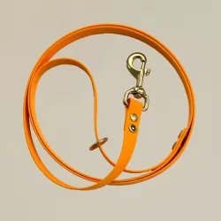 Gula Biothane Lijn 170 cm, Orange