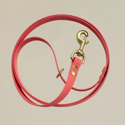 Gula Biothane Lijn 170 cm, Pink