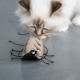 I Love Happy Cats Chuck Snack Toy