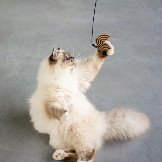 I Love Happy Cats Connor Prey Helix Refill Set