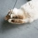 I Love Happy Cats Connor Prey Helix Refill Set