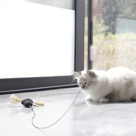 J'aime les chats heureux Jave Spin