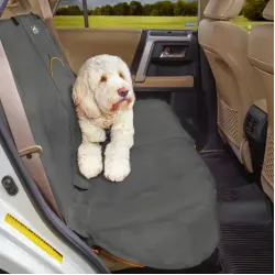 Kurgo Autodeken Wander Bench