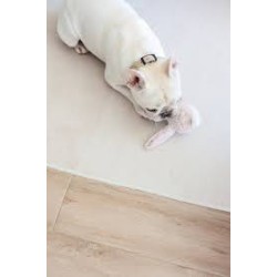 Lambwolf Collective Bunny Pop Medium