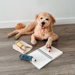 Lambwolf Collective Crayons