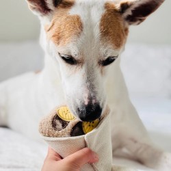 Lambwolf Collective Crepe