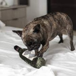 Lambwolf Collective Merlot