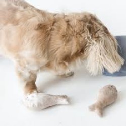 Lambwolf Collective Sardines