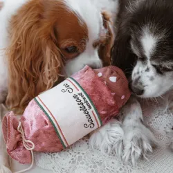 Lambwolf Collective Saucisson Sec