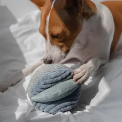 Lambwolf Collective Toto Marine