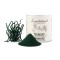 Lunderland Bio Spirulina, 100 g