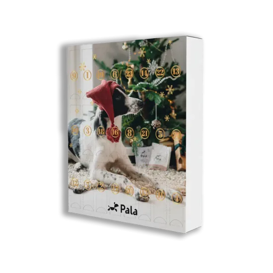 Pala Advent Calendar