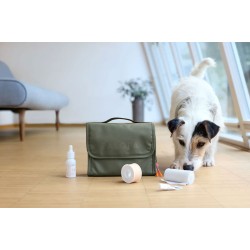 Palopa First Aid Pouch Bano, Dark Olive