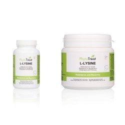 PhytoTreat L-Lysine poeder