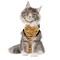 Suitical Recovery Suit Cat​​ Tijgerprint