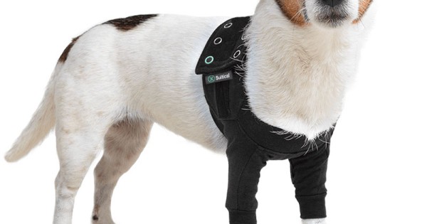 Suitical Recovery Suit Hond - Zwart | Bestellen