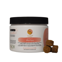 Sunore Power of Motion