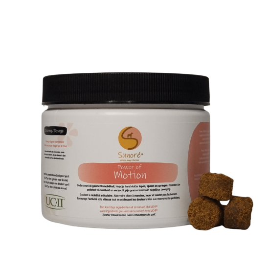 Sunore Power of Motion