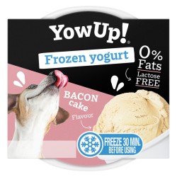 YowUp Frozen Yoghurt Bacon Cake