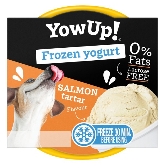 YowUp Frozen Yoghurt Salmon Tartar