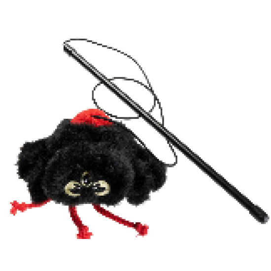 FuzzYard Halloween Cat Webastian Junior