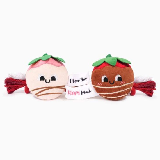 HugSmart Collections Woof Love Strawberry Rope