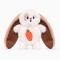 HugSmart Collections Hoppin'Easter - Floppy Bunny