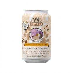 Boil & Broth Waterkefir Sinaasappel-Mango