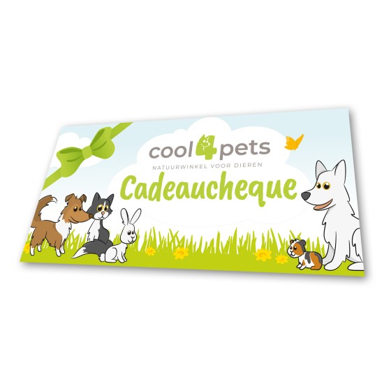 Chèque cadeau