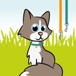 Halsbanden & Tuigjes